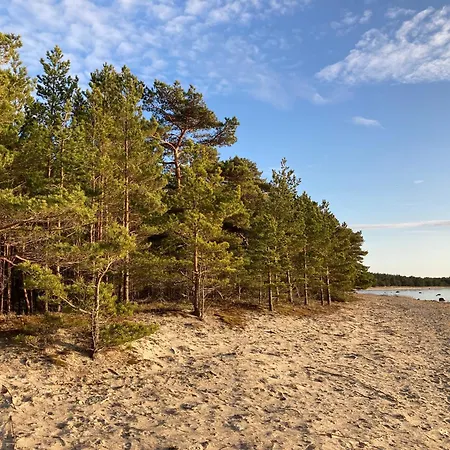 Black House Spithami