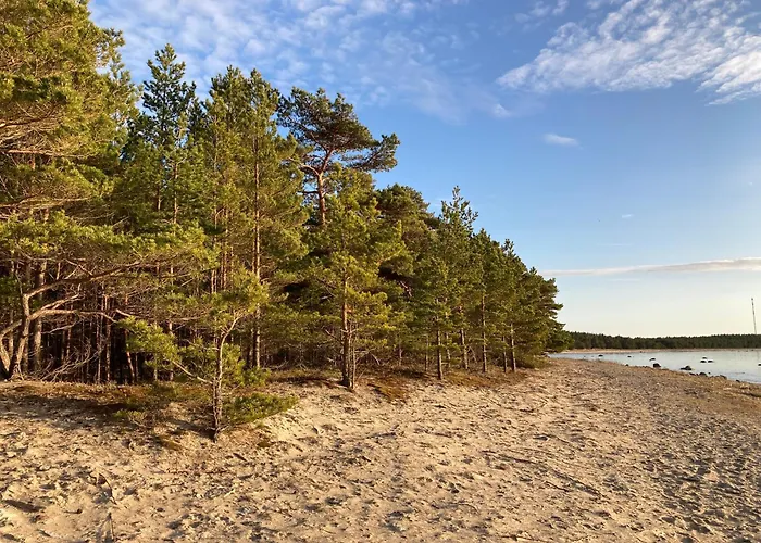 Black House Spithami